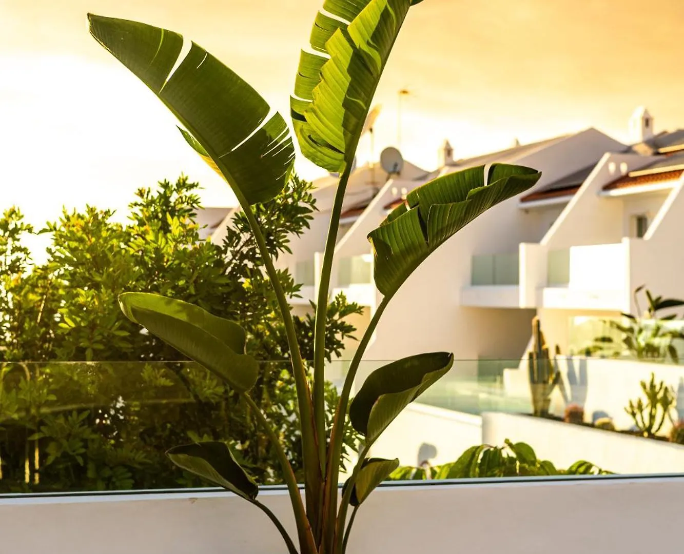 Costa Adeje Garden Aparthotel Playa de las Americas  3*, Playa de las Americas (Tenerife) Hiszpania