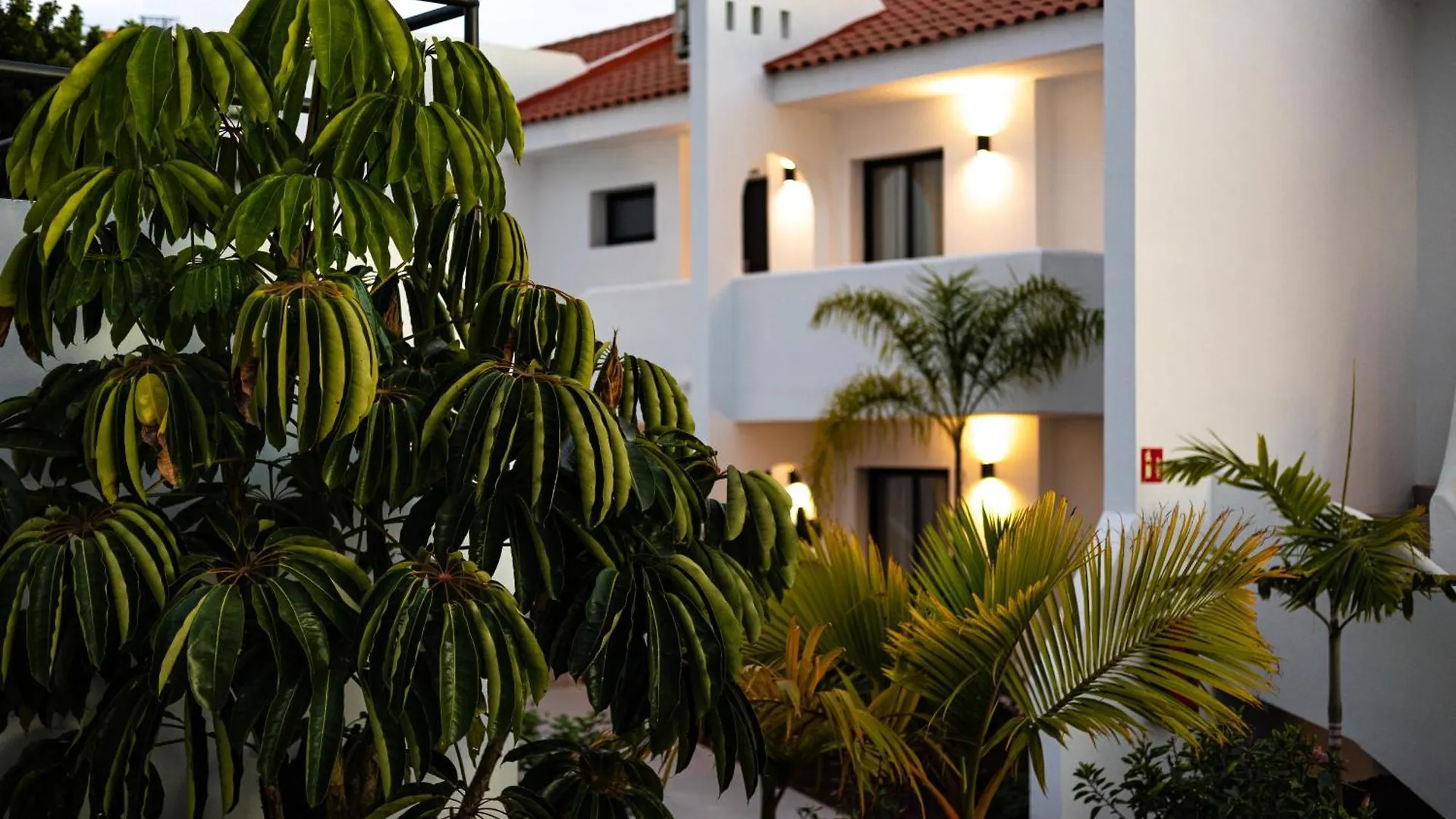 ***  Costa Adeje Garden Aparthotel Playa de las Americas  Spain